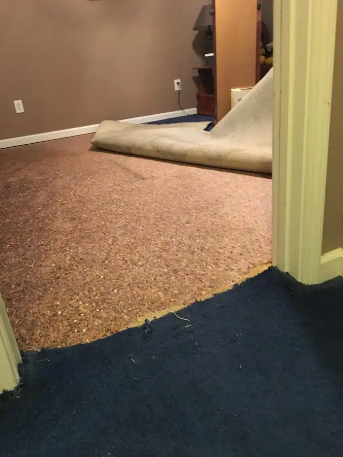 Carpet pad removal revealing water damage during Drying & Dehumidification in Glenmont