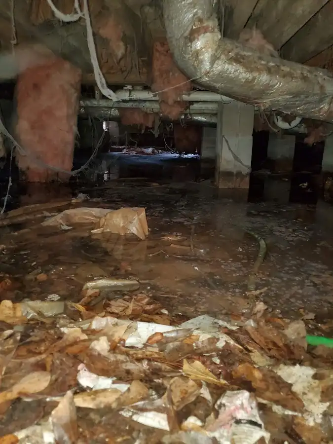 Crawl space flood assessment for Commercial Water Damage Restoration in Glenmont